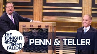Penn & Teller Give a Lesson in Misdirection Using a Vanishing Chicken