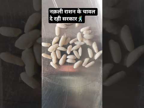 नक़ली चावल दे रही योगी मोदी सरकार#viral#shorts #shortvideo