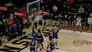 Oregon State Beavers Highlights vs. UC Irvine Anteaters