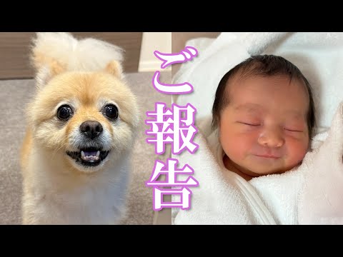 【ご報告】新しい家族が増えました!