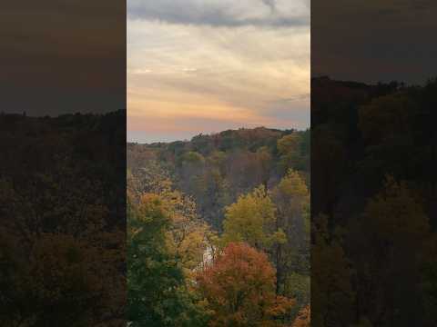 Colours of Fall in Oakville, Canada 🍁 #canada #16milecreek #2025 #fallcolours #autumn #muskoka