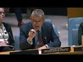 LIVE: UN meeting on the situation in the Palestinian Territories  - 02:58:55 min - News - Video