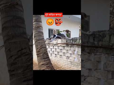 ঝগড়া দেখতে কার না ভালো লাগে বল তোমরা 😂🤣#shorts #jayeeta#funny