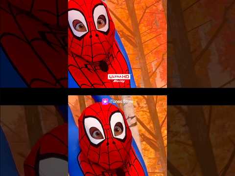 Thumbnail for the video Into the Spiderverse: Blu-Ray vs Streaming