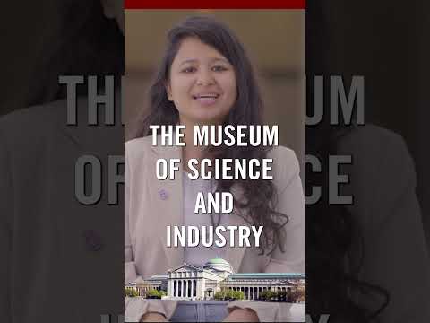 Chicago Booth This or That: Art Institute vs Museum of Science and
Industry #mba #shorts