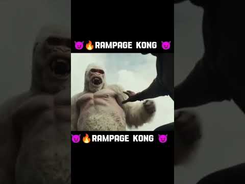 KINGKONGRAMPAGE🍿KONG KING WHITEGORILLAGEORGERAMPAGE MOVIE#shorts#kong #king#movie #short #rampage