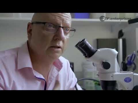 Forensics - The Science of Crime'