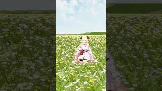わためと一緒に朝のストレッチ！【 #今日のわため 】 #shorts #hololive #vtuber