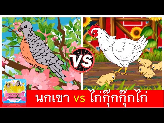 นกเขา vs ไก่กุ๊กกุ๊กไก่ | เพลงเด็กในตำนาน | นกเขาบินข้ามเขา | ไก่กุ๊กกุ๊ก