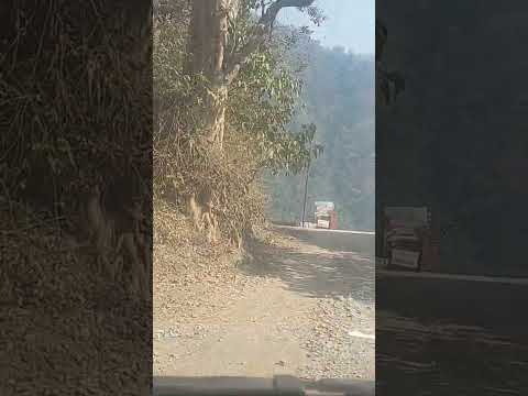 #manali #nature #manalitravel #travel