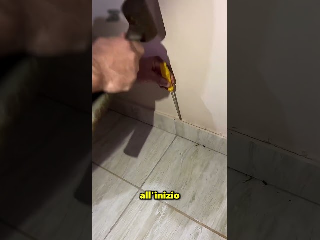 Ha trovato uno scorpione sotto le piastrelle di casa 😮