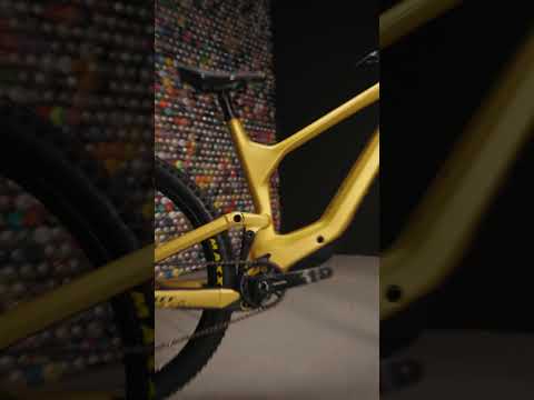 New SCOTT RANSOM 20 2024