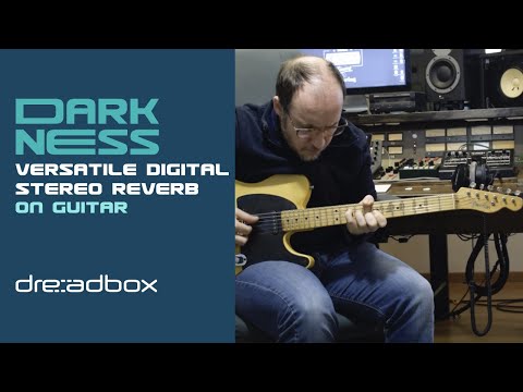 Dreadbox DARKNESS / Digital Stereo Reverb (on electric guitar)