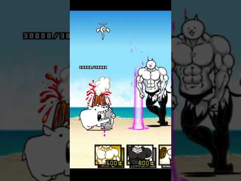 猫の動画サムネイル - COMBINED UNITS The Battle Cats 合体ユニット バトルキャッツ