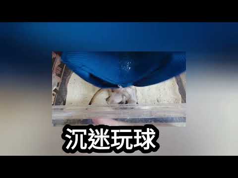 膜鬼貼手樂華店副店長兩萬的下班時間