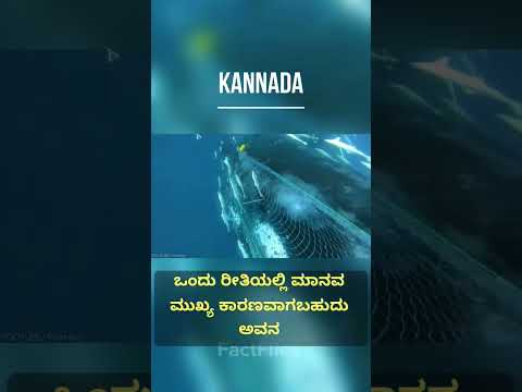 ಅಳಿವಿನಂಚಿನಲ್ಲಿರುವ ಪ್ರಾಣಿಗಳು#animal #animals #wildanimals #wildlifephotography #wild #endangered