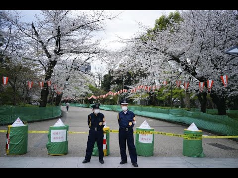 Cierran el Parque UENO en TOKIO para evitar la propagación del Coronavirus