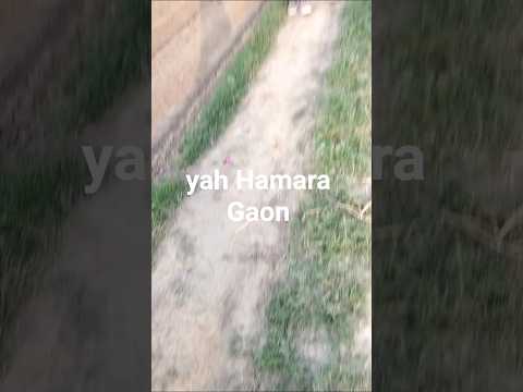 yah Hamara प्यारा-प्यारा Gaon