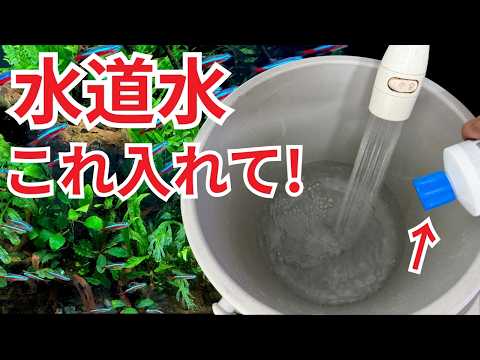 【絶対NG】水道水を入れただけで熱帯魚やメダカが弱る本当の理由とは？