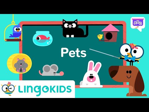Learn About Pets 🐶🐱 | Vocabulary for Kids | Lingokids