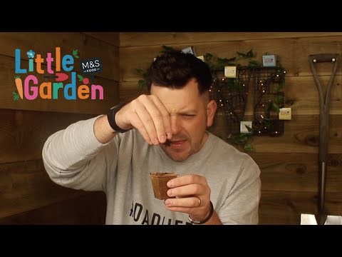 marksandspencer.com & Marks and Spencer Promo Code video: M&S | The Skinny Jean Gardener's Review of Little Garden Ep1