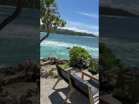 Hidden Paradise! Turtle Bay’s Stunning Views 🌊🐢 | North Shore O’ahu #hawaii #travel