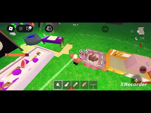 99 noites na floresta