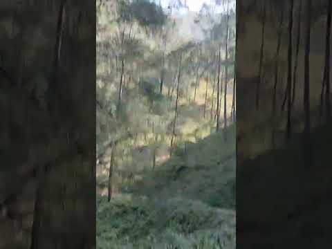 पुराने गाने हों और पहाड़ी सड़क हो उसका मजा ही कुछ और है।❤️❤️😍😍