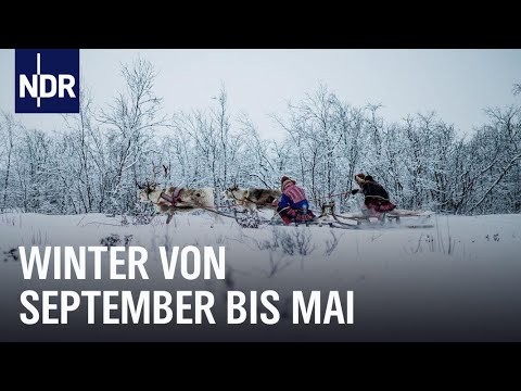 Wintersonne in Nordnorwegen | Ostseereport | NDR