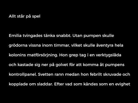 spår3