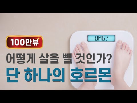 어떻게 살을 뺄 것인가?: 하나의 호르몬