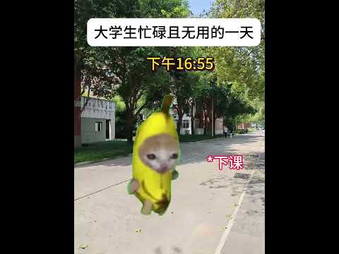 忙しい大学生活と癒やしの猫ミームをお届け サムネイル