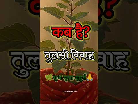 Tulsi Vivah Kab hai 2025 तुलसी विवाह कब है 02 या 03 नवंबर TulsiVivah Puja #tulsivivah2025#shorts