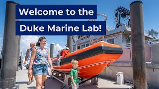 Explore the Duke Marine Lab Annual Open House! video