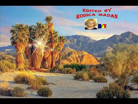 ANZA  BORREGO  DESERT  STATE  PARK  IN  CALIFORNIA  USA  A  !
