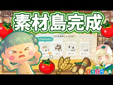 【あつ森】素材島に改造する🍅｜コラボ家具も配布中🐟｜ライブ【あつまれどうぶつの森】