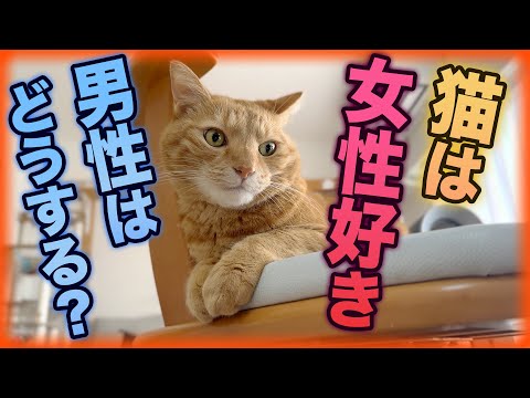 猫の本能！オス猫は女性、メス猫は男性に惹かれる？科学で解く絆の秘密