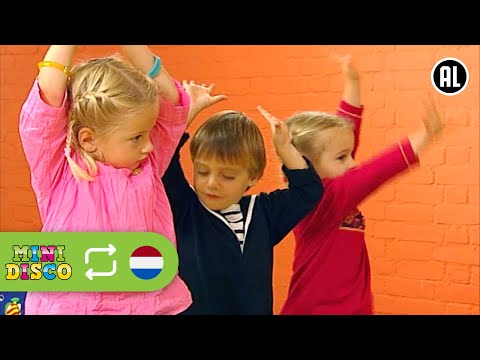 Minidisco: In de Maneschijn'