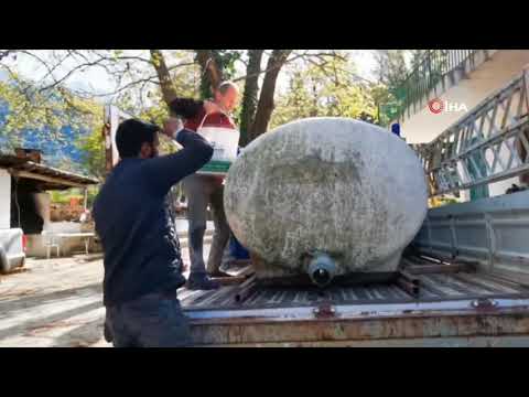 Antalya’da Üretilen Yavru Alabalıklar İlgi Görüyor