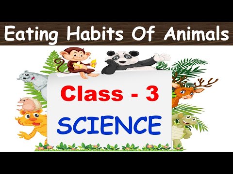 Eating Habbits Of Animals | Class : 3 CHAPTER 1| Science | CBSE | Herbivores, Carnivores, Omnivores|