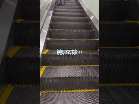 映像制作会社 株式会社いのしし 活動紹介 #映像制作 #映像クリエイター