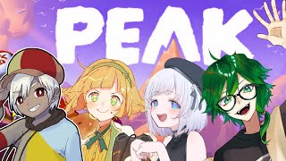 🔴山の頂を目指しますよっと【#peak   】