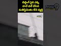 బిల్డింగ్ పైకి ఎక్కి హల్ చల్.. చేసిన మతిస్థిమితం లేని వ్యక్తి.. | Viral Video | Prime9 News  - 00:06 min - News - Video