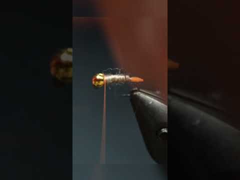 Killer Utah Fly Pattern.... "Ugly Walt's Worm"