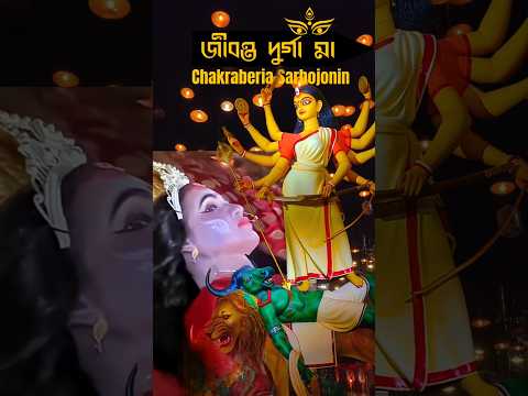 Chakraberia Sarbojonin Durga Puja 2025😍 জীবন্ত দুর্গা মা ২০২৫😍 Live Durga idol2025 #shorts #foryou