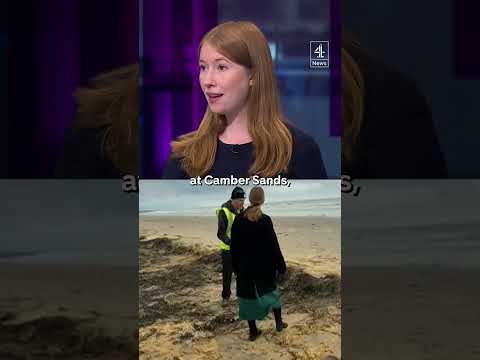 'Environmental catastrophe' on Camber Sands beach