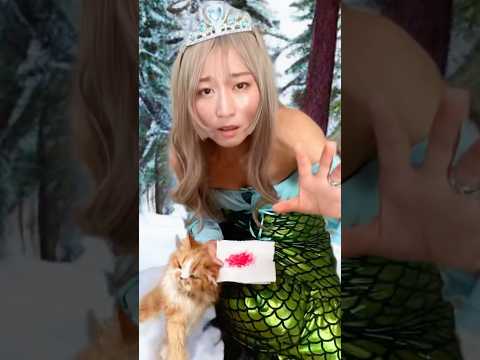 【感動】人魚と赤ちゃん猫を助けて...プリンセスの感動物語2 #happydojo #実験道場