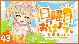 【 #朝活｜#ニチオハ🌞 】初めてを失った女、リアイベお疲れ様でしたー！！【座敷わらび/AiceClass】#shorts
