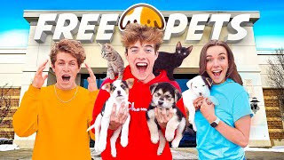 OPENED A FREE PET STORE!!