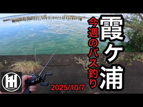バス釣り今週の霞ヶ浦2025年10月7日